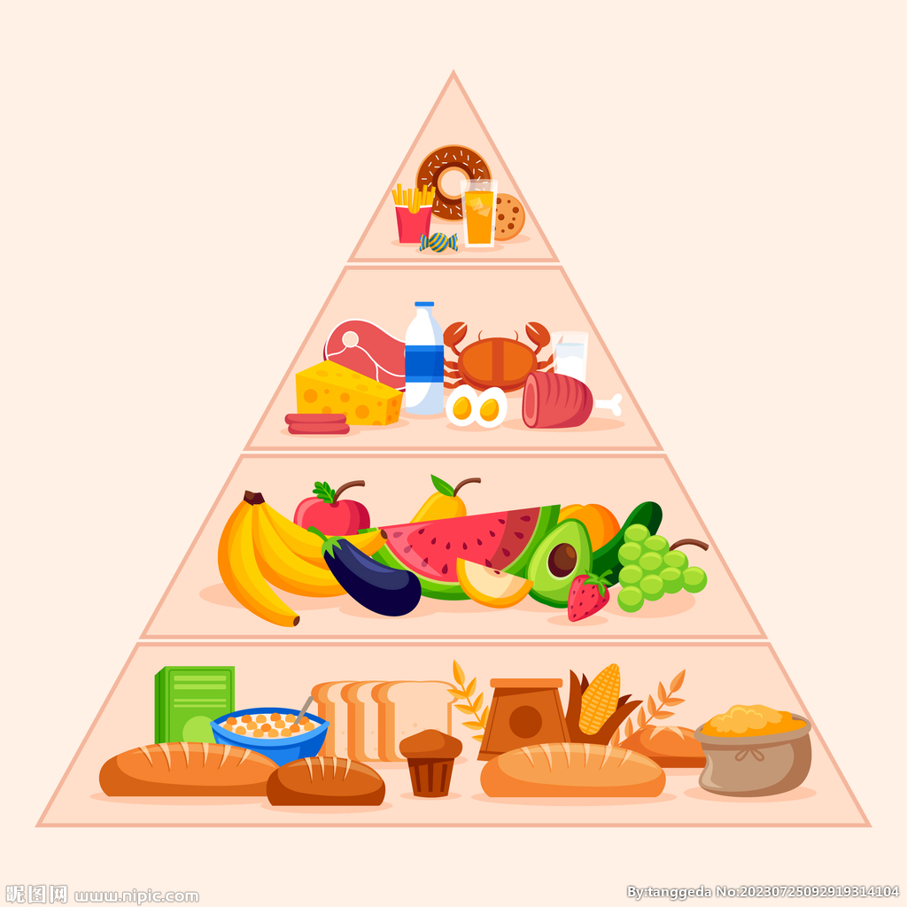 食物金字塔