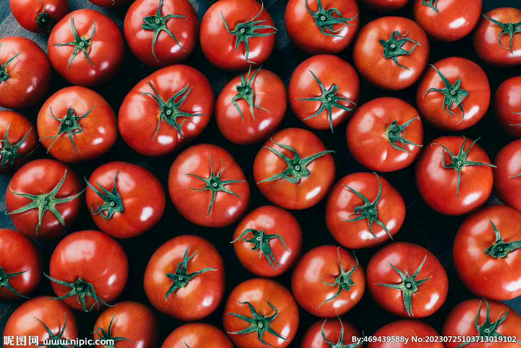番茄背景图