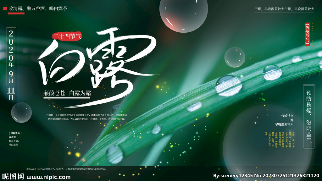 白露节气海报
