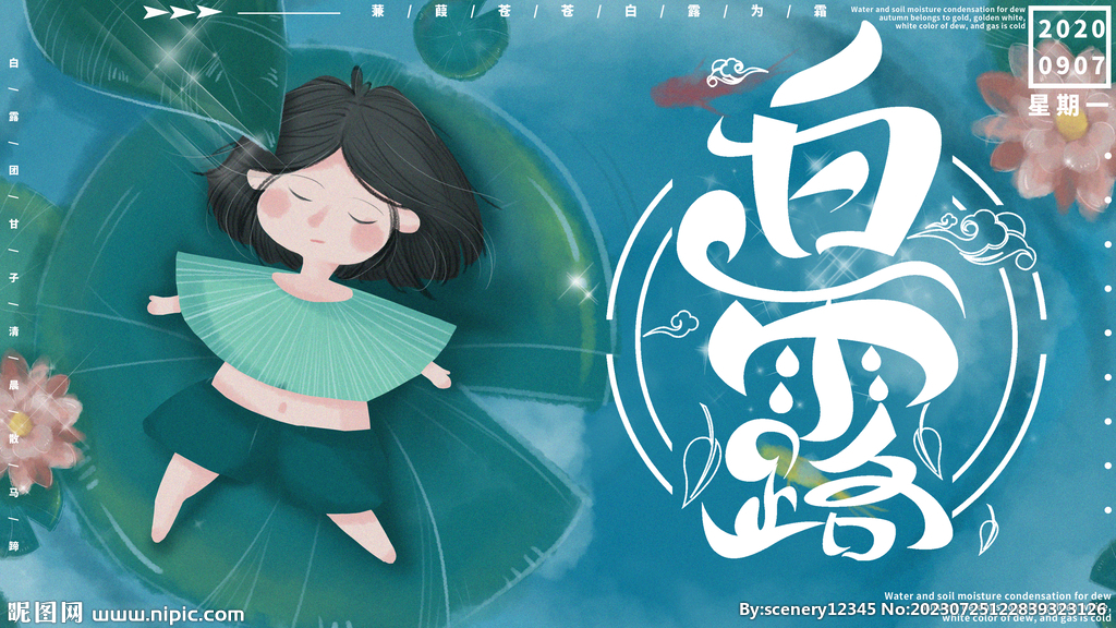 白露节气海报