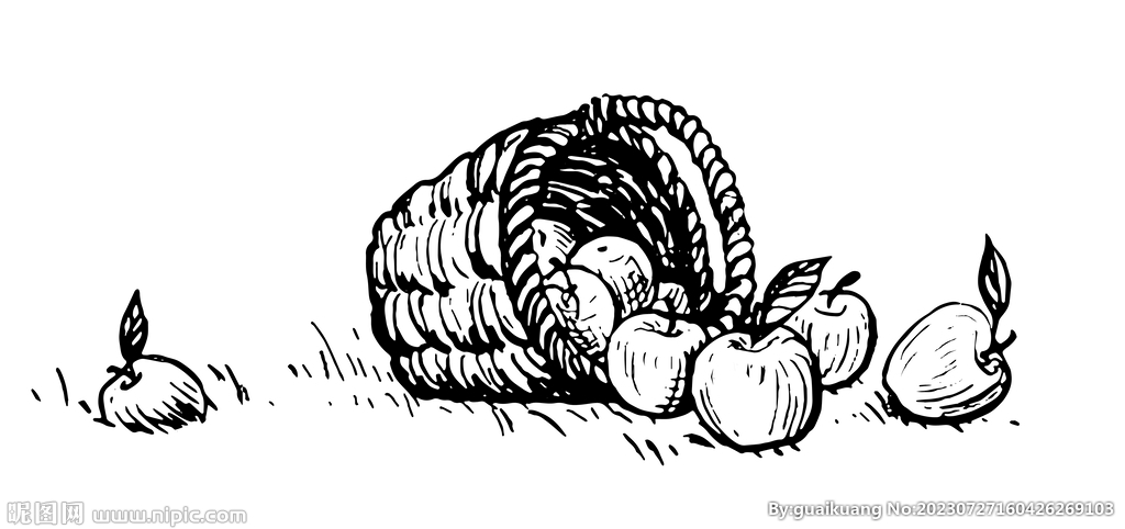 一筐苹果线描插画