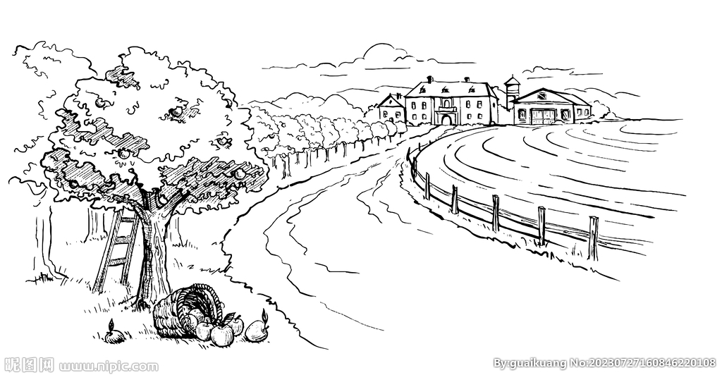 苹果园线描插画背景