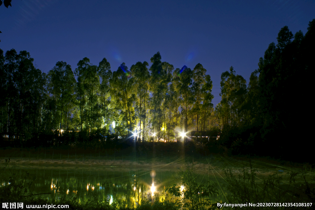 深夜山区树林灯光