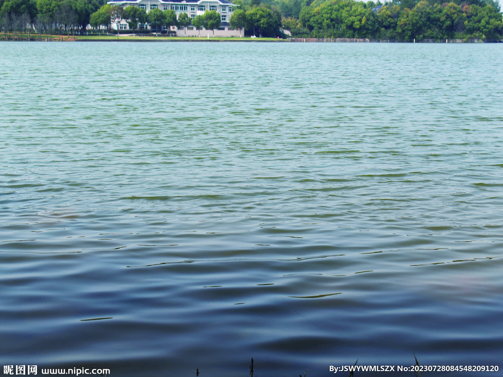 水 湖  公园 