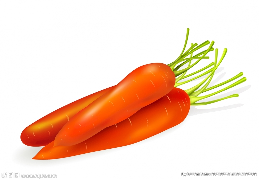 矢量胡萝卜