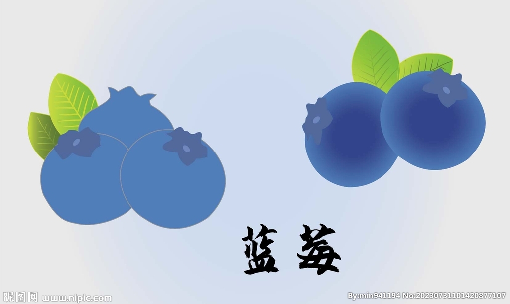 蓝莓 矢量