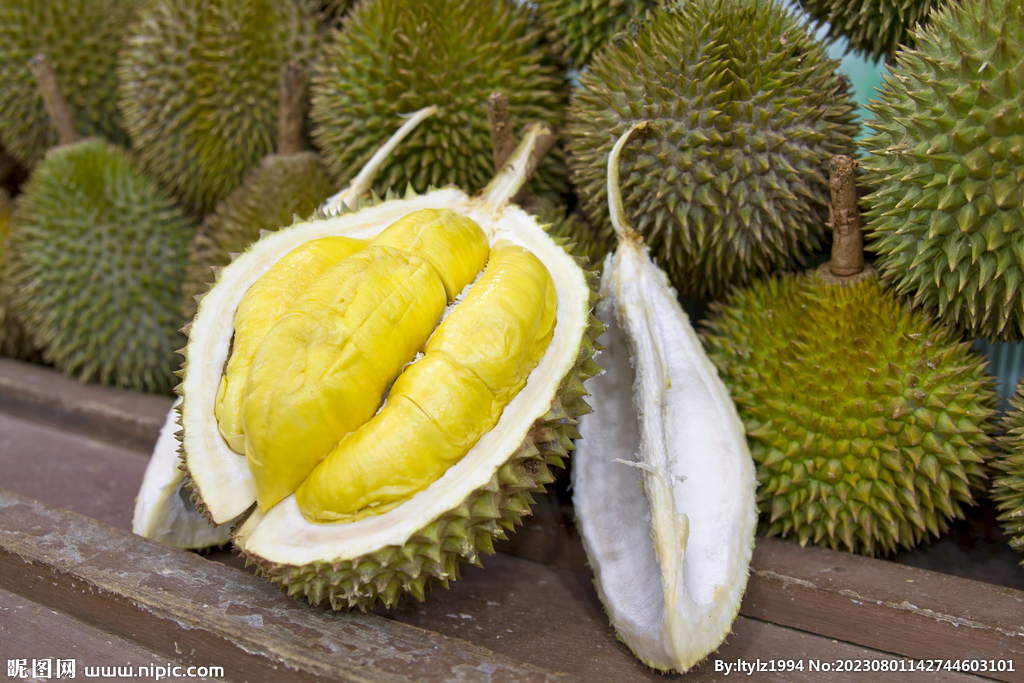 新鲜榴莲素材