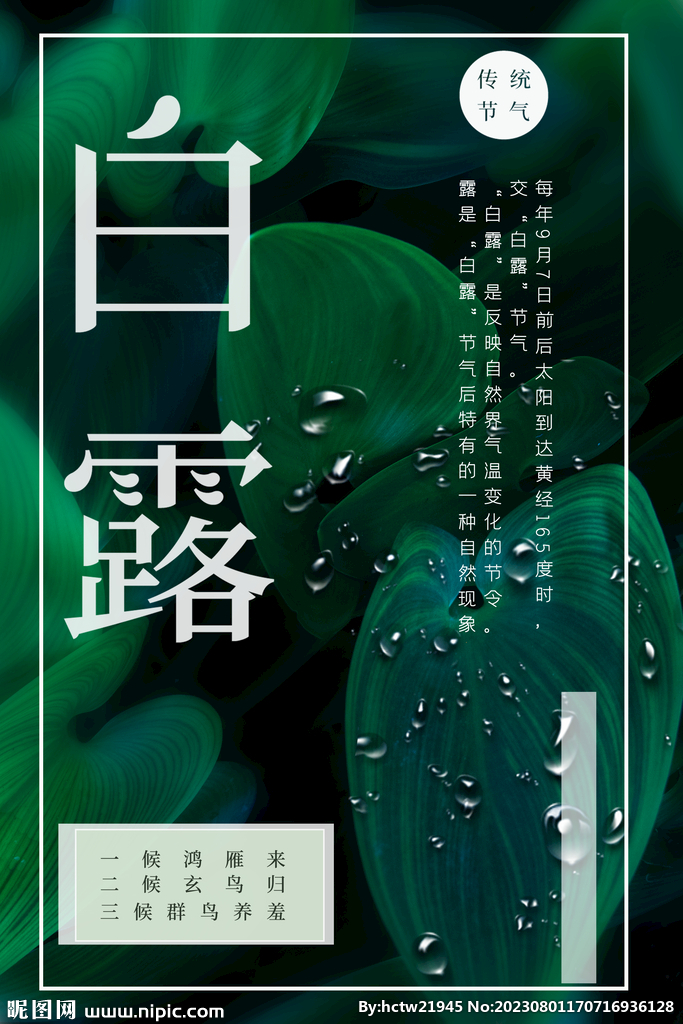白露 二十四节气