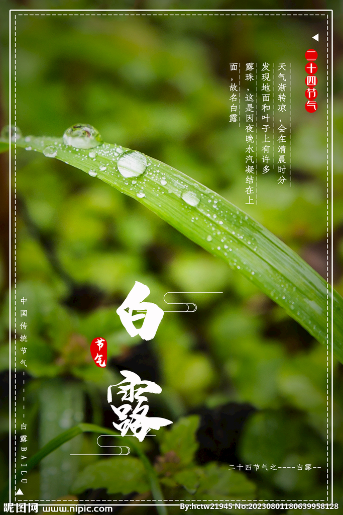 白露 二十四节气