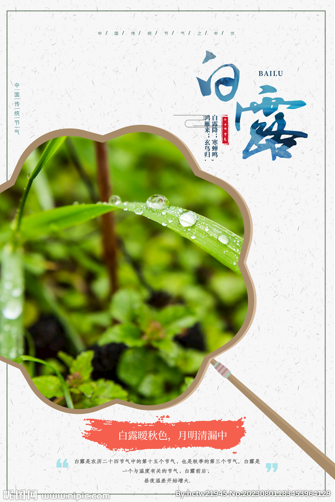 白露 二十四节气