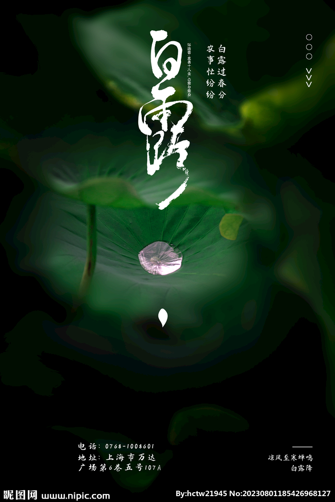 白露 二十四节气