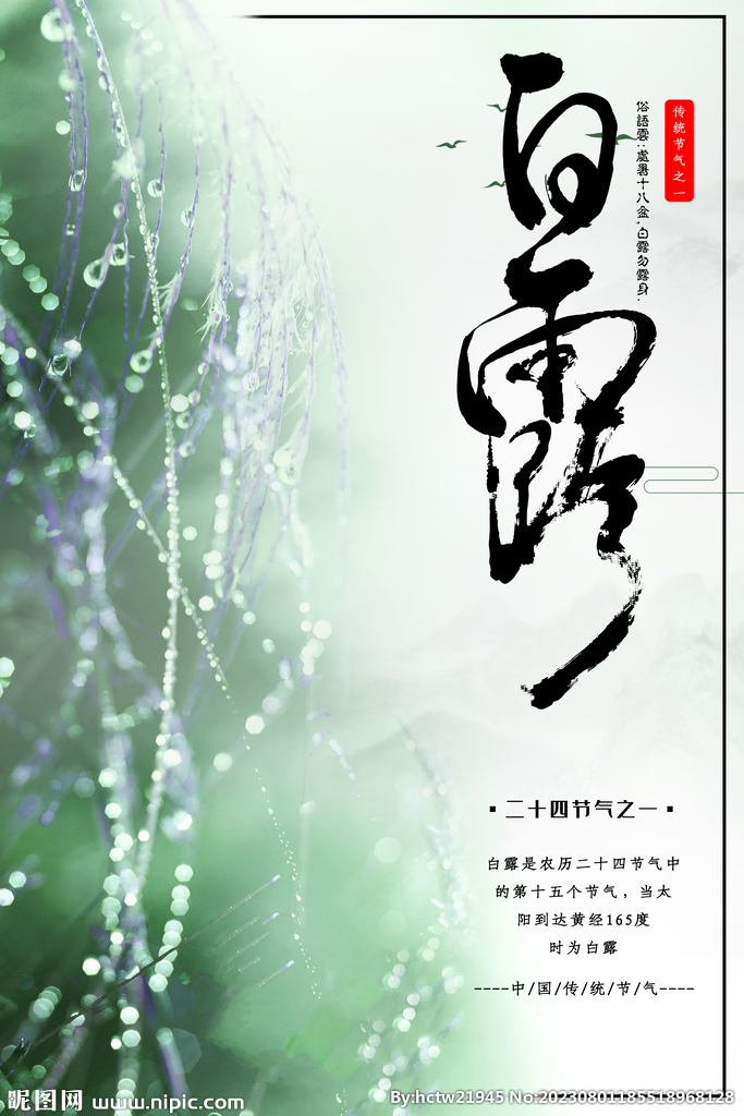 白露 二十四节气