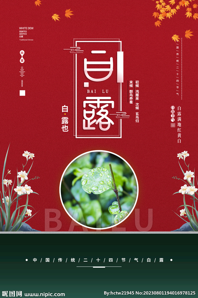 白露 二十四节气