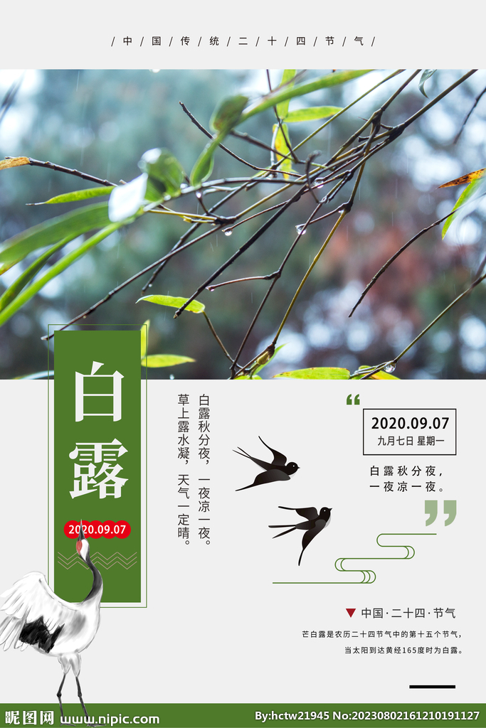 白露 二十四节气