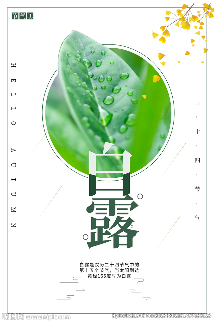 白露 二十四节气