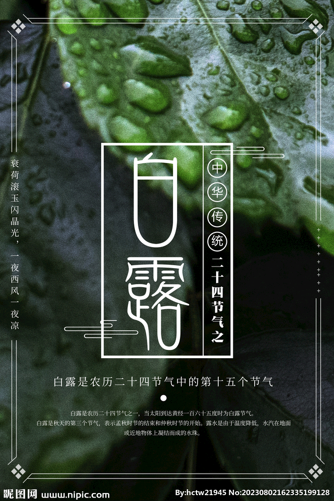 白露 二十四节气