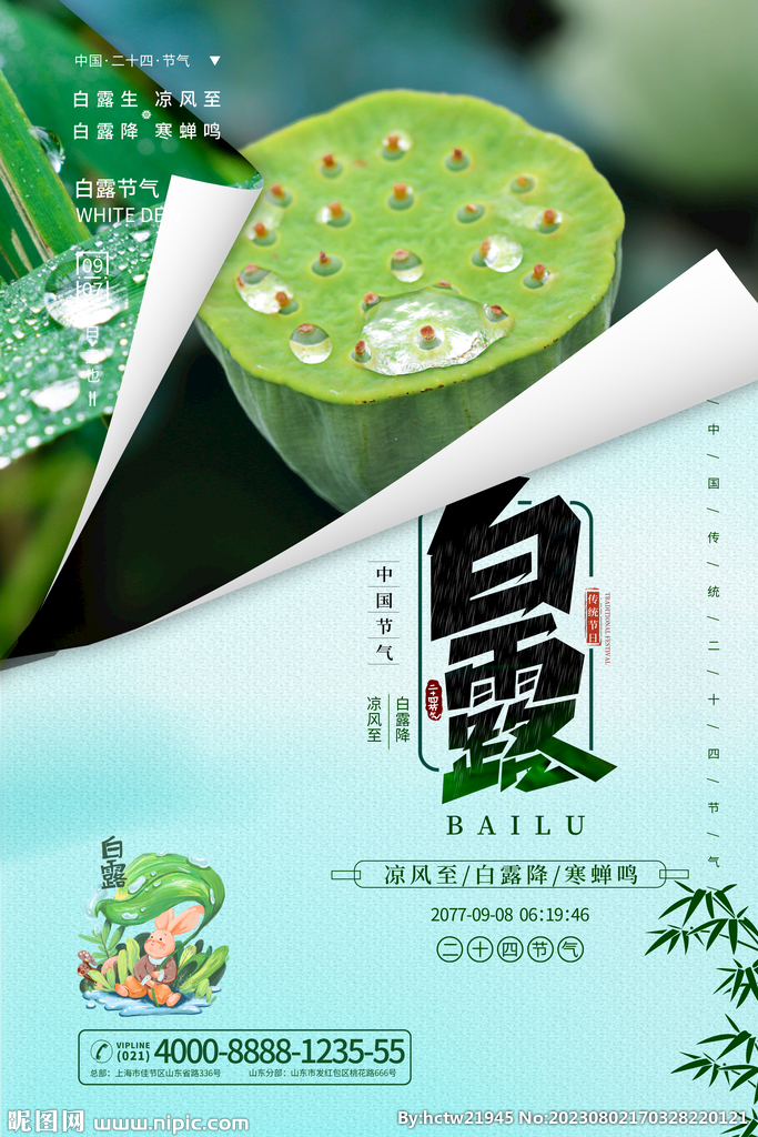 白露 二十四节气