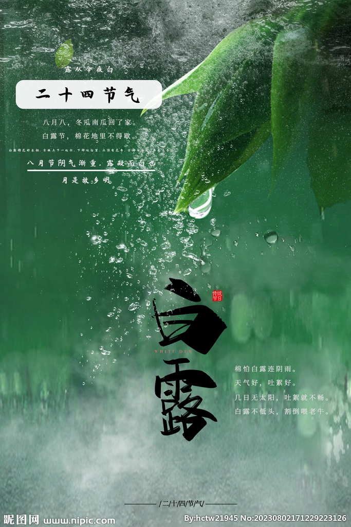 白露  二十四节气