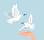 矢量鸽子