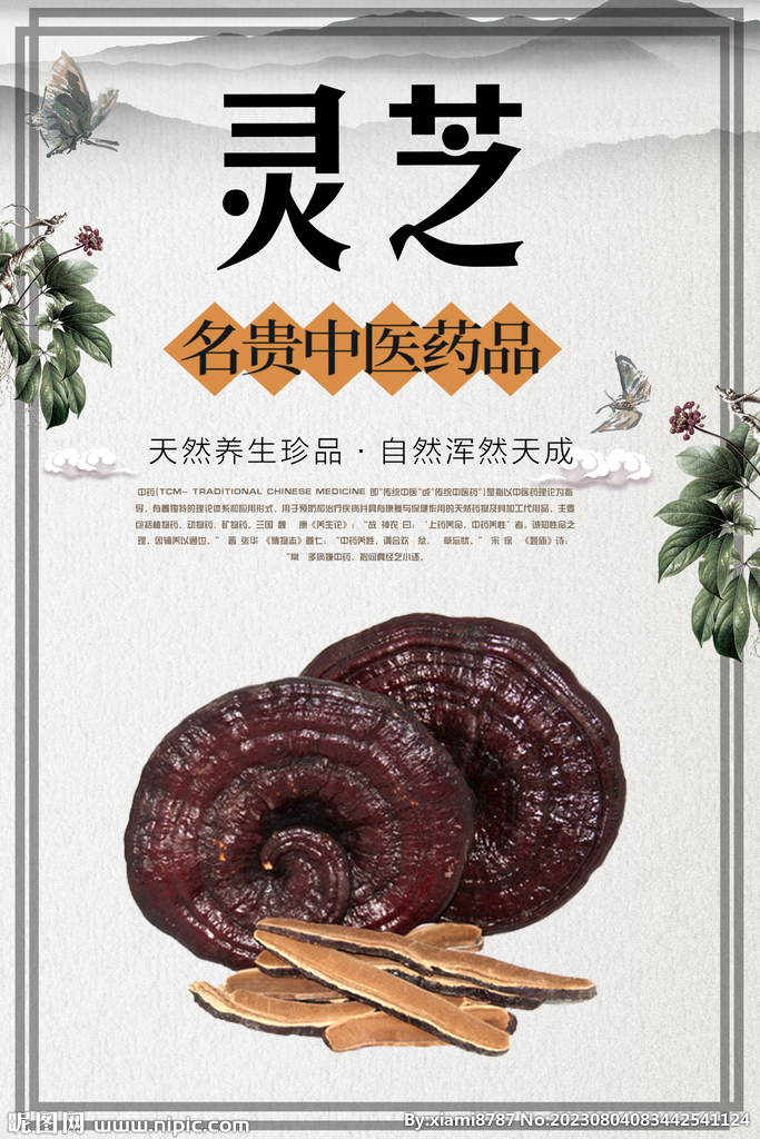 灵芝