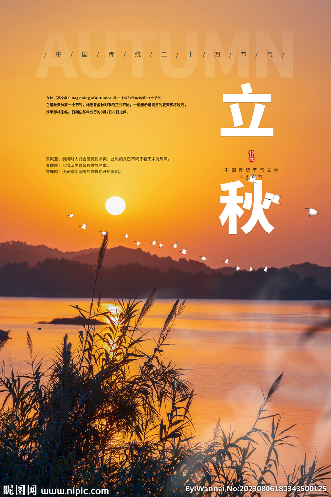 立秋二十四节气海报