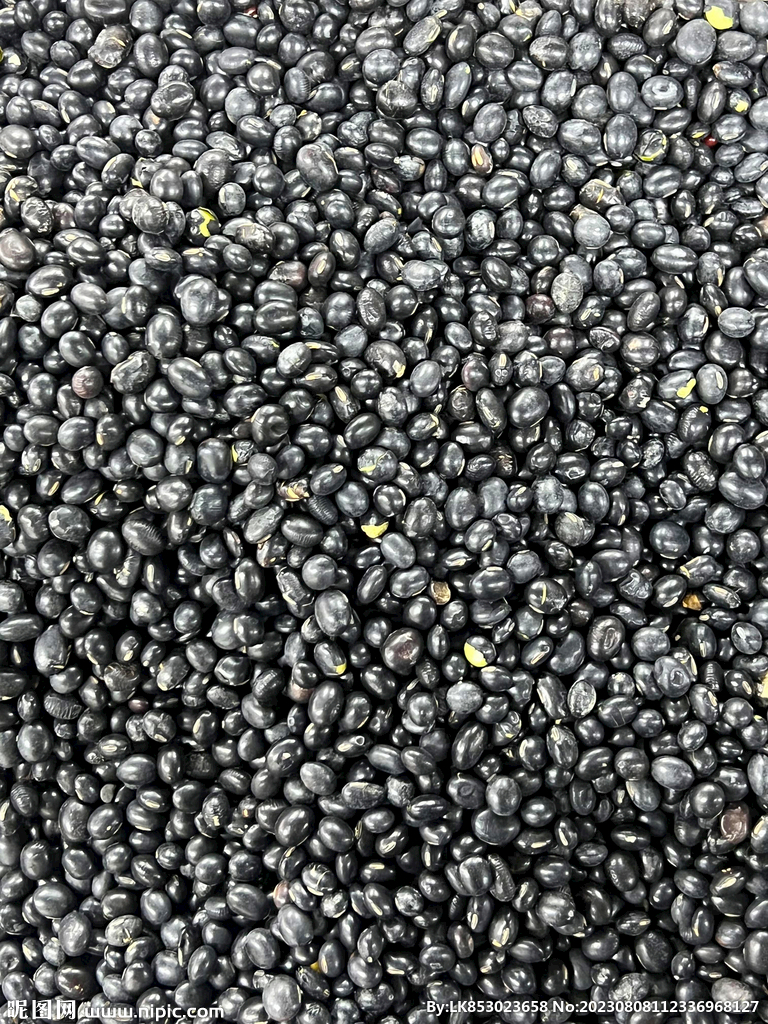 黑豆