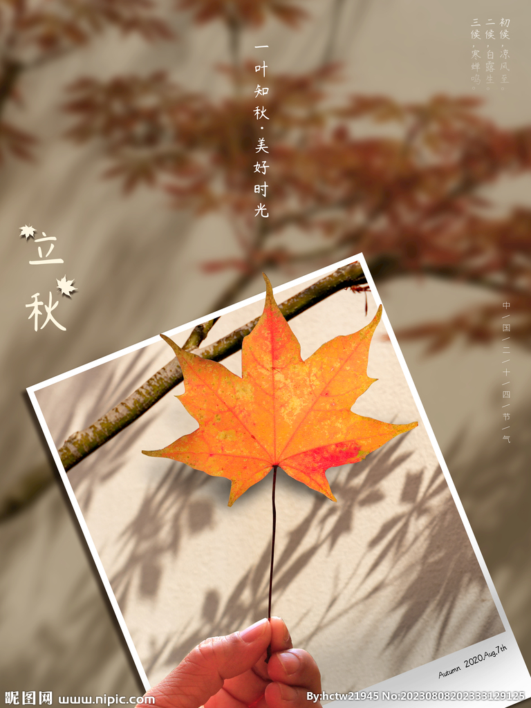 立秋 树叶 节气