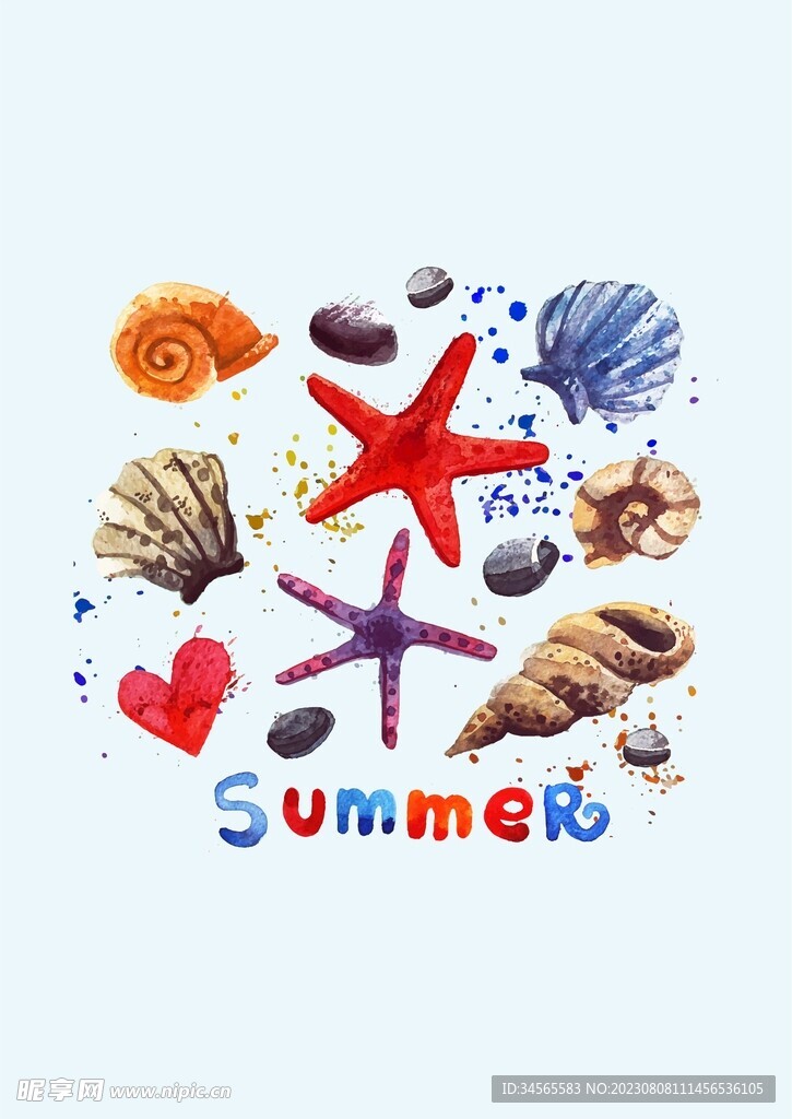 夏天海边海星海螺贝壳暑假