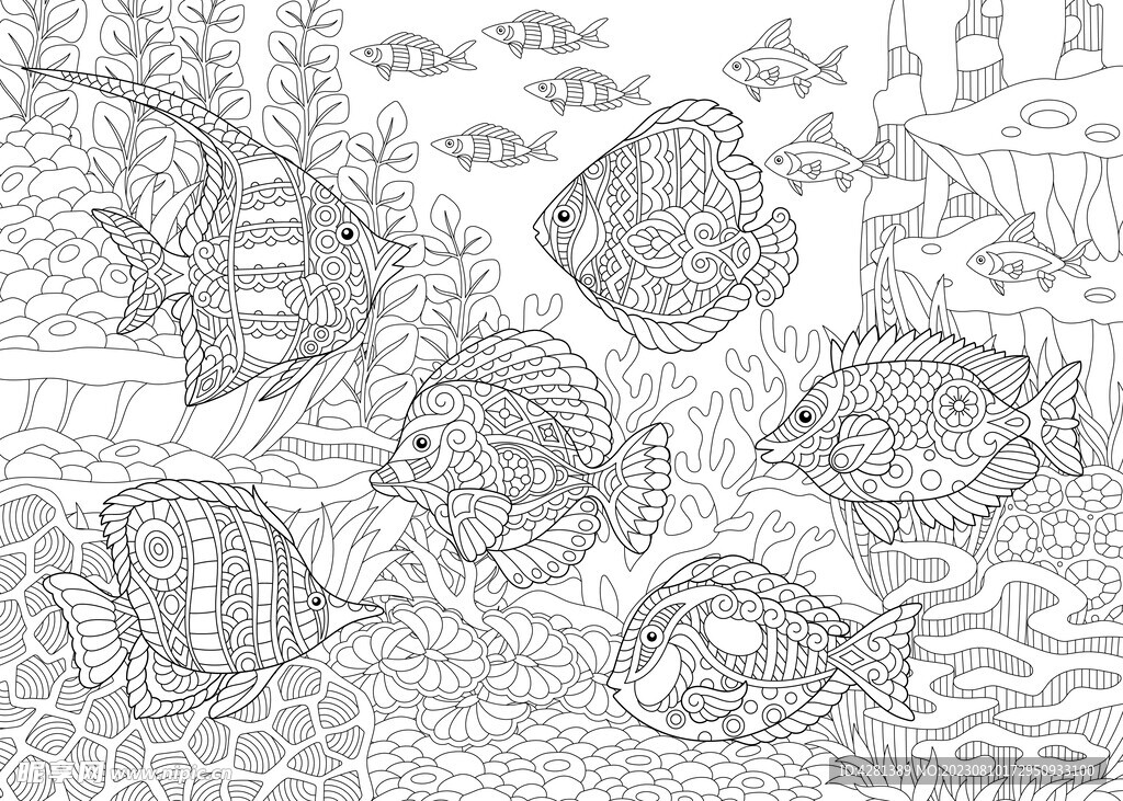 海洋鱼类矢量背景