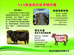 畜牧展板