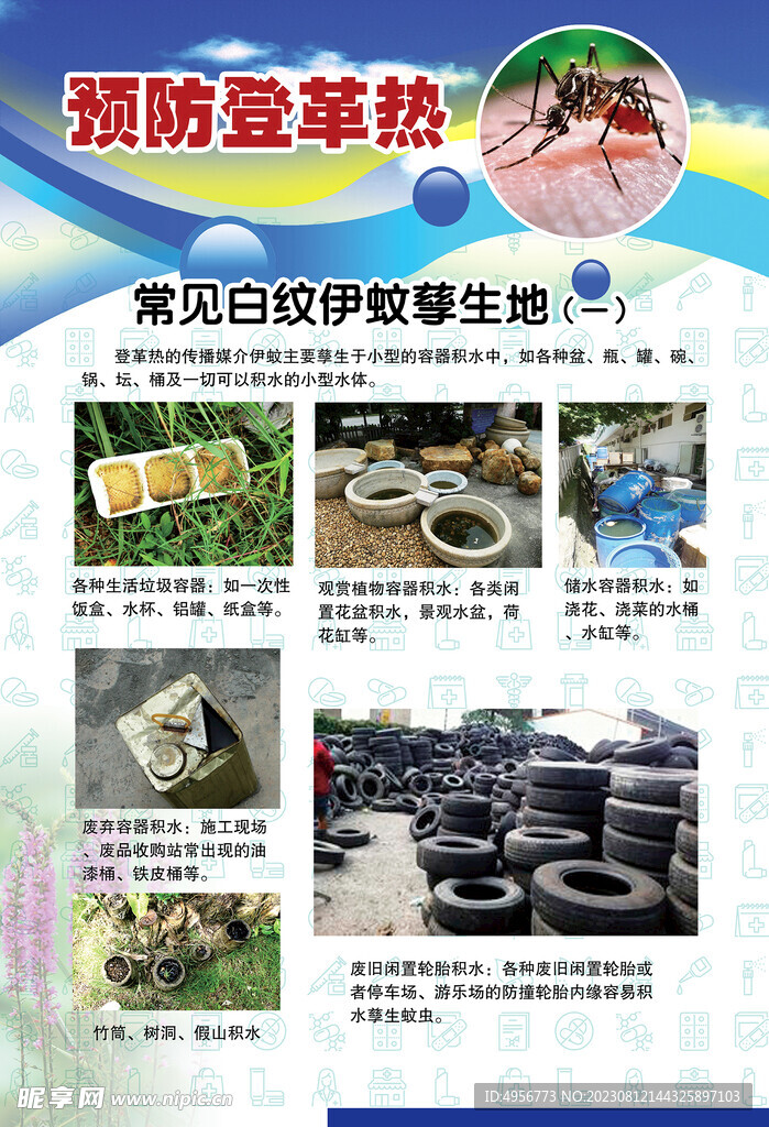 预防登革热宣传系列挂图海报