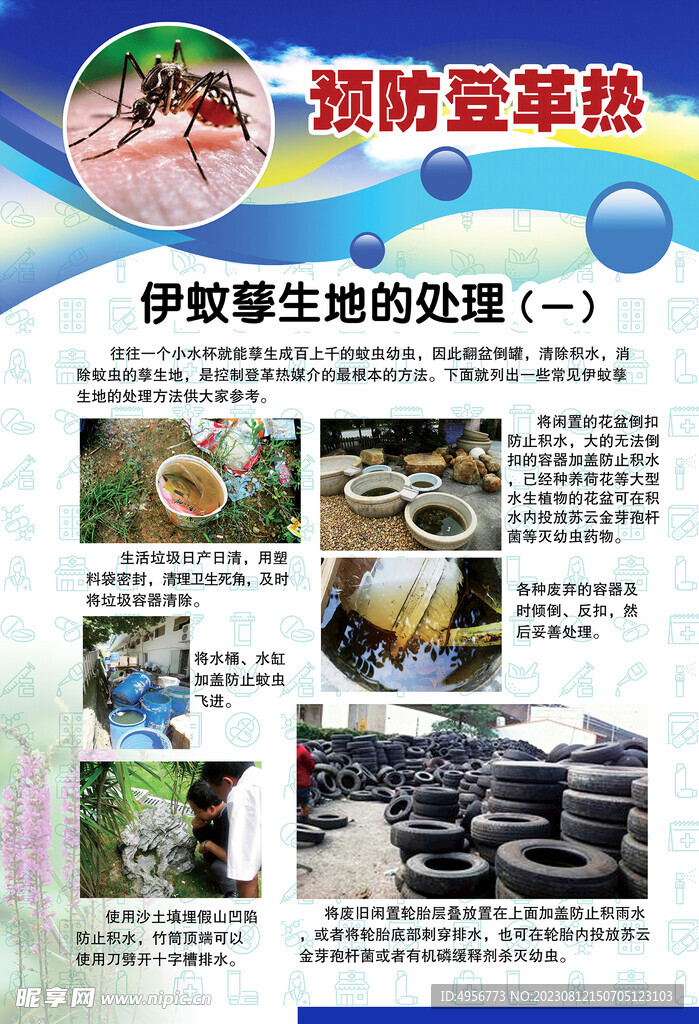 预防登革热宣传系列挂图海报