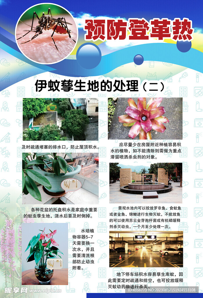 预防登革热宣传系列挂图海报