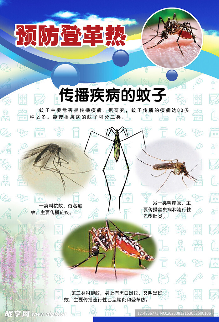预防登革热宣传系列挂图海报