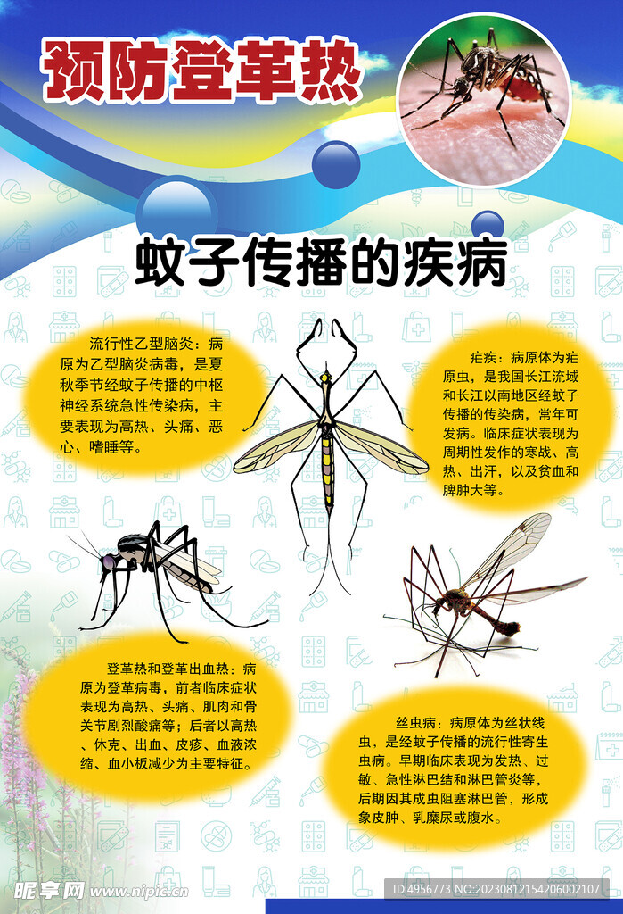 预防登革热宣传系列挂图海报