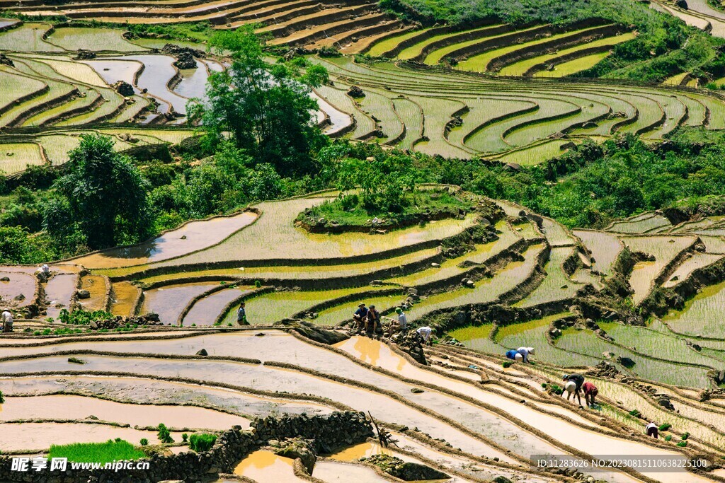 梯田风景