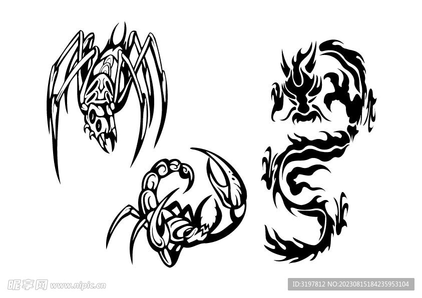 蜘蛛蝎子龙图腾