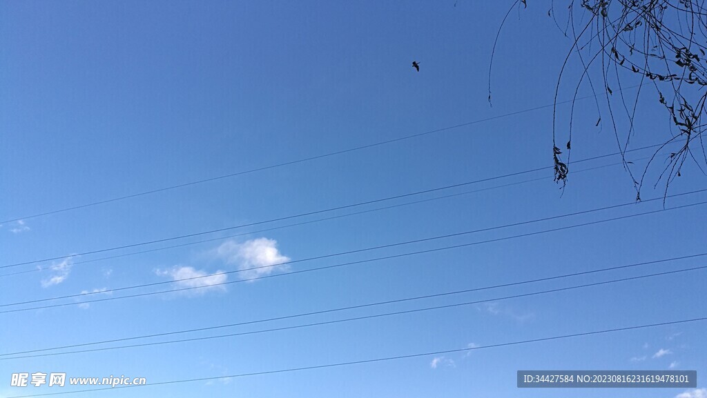 蓝天和电线