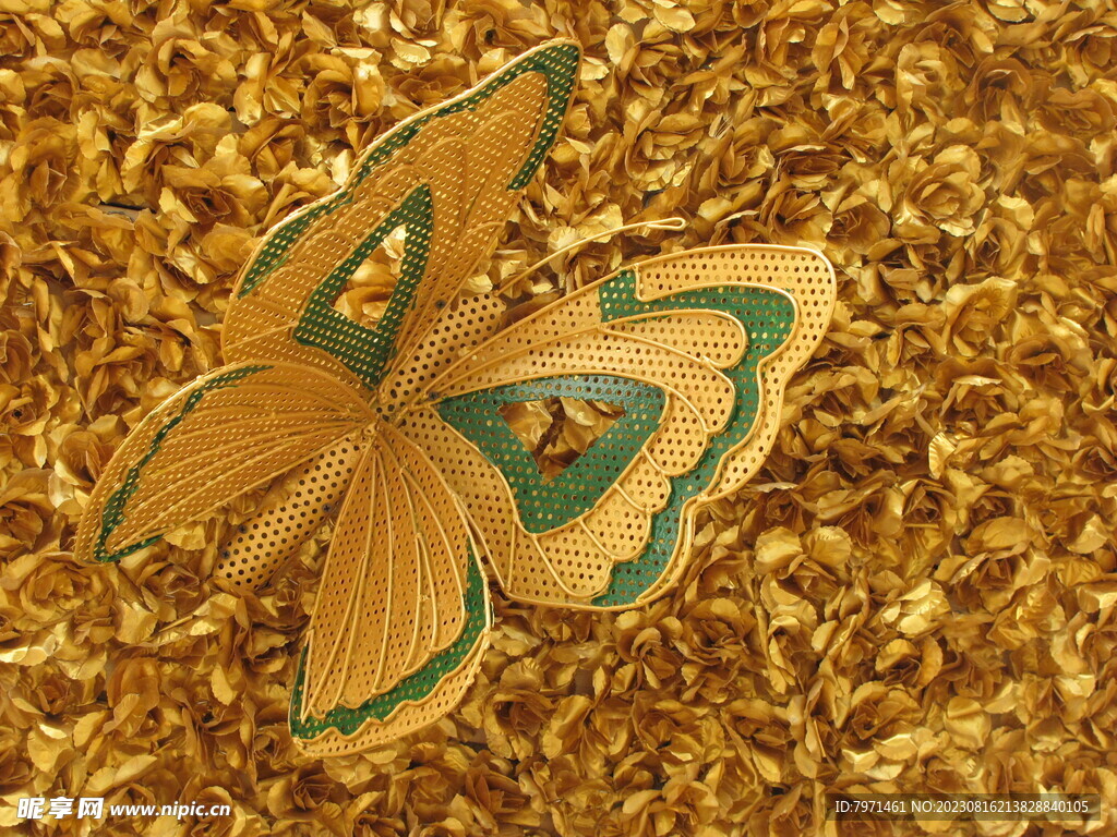 金色蝴蝶