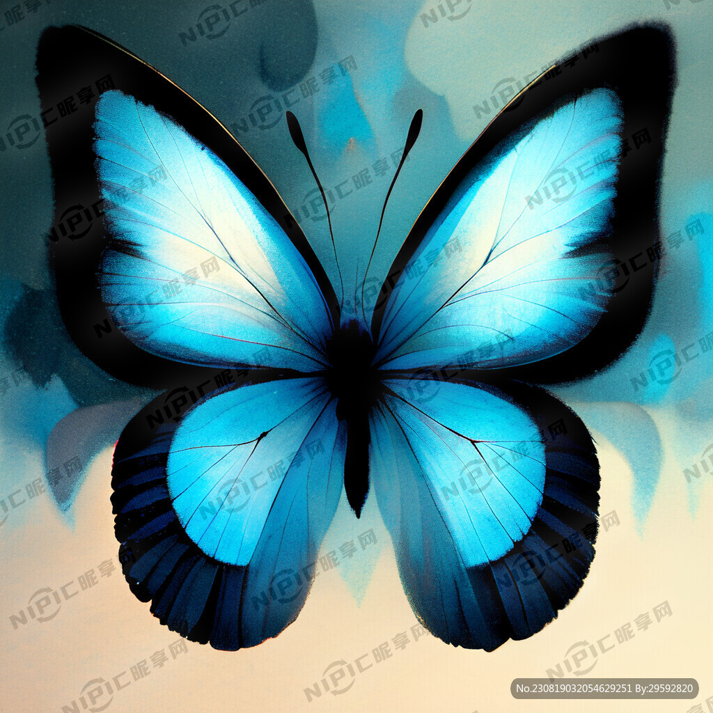 蓝色的 黑边的美丽的