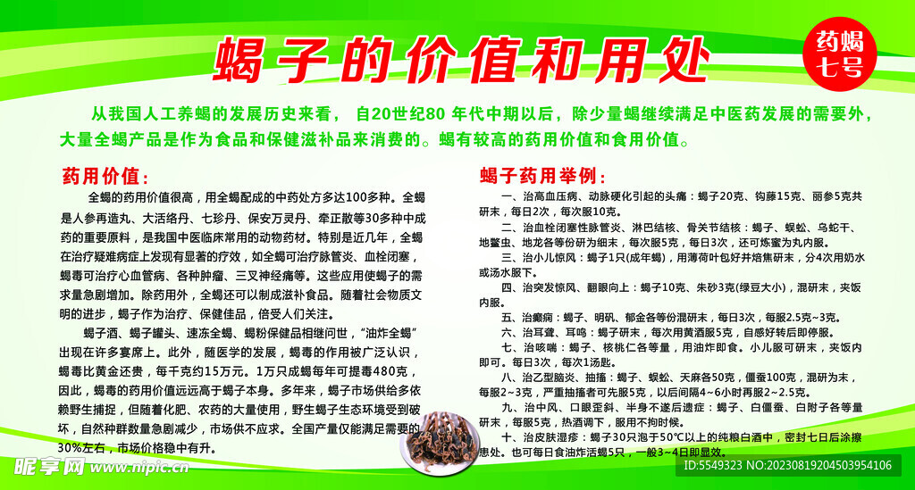 蝎子的价值和用处