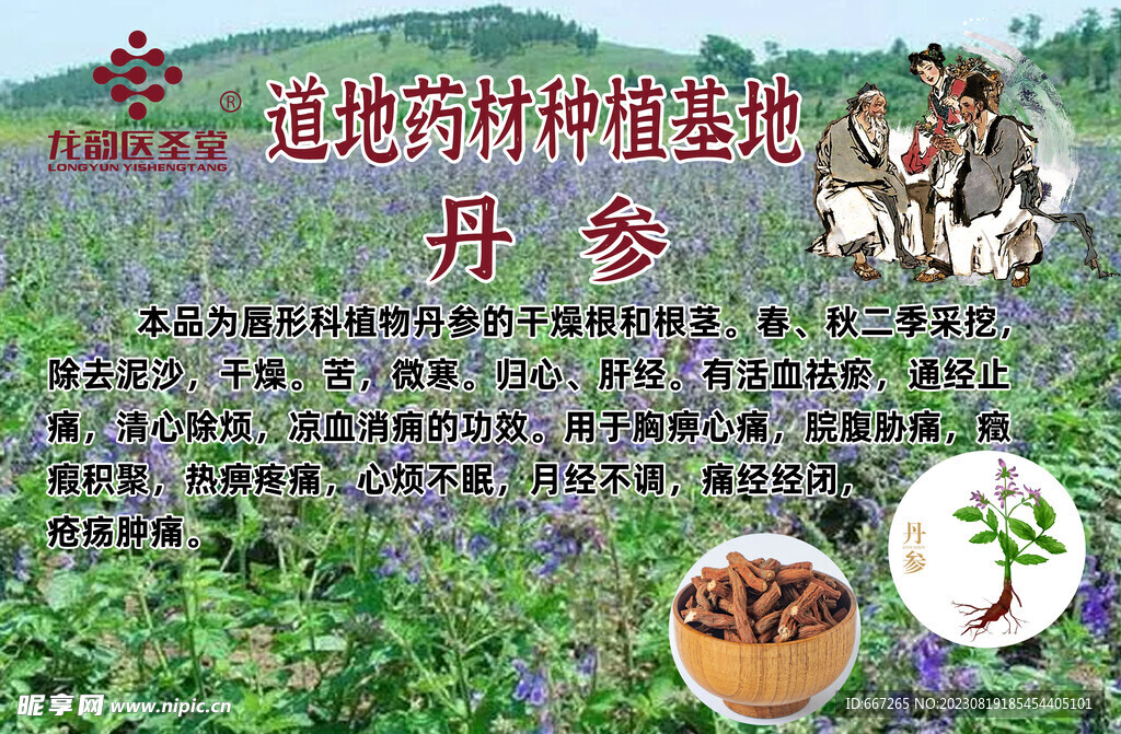 道地药材种植说明图