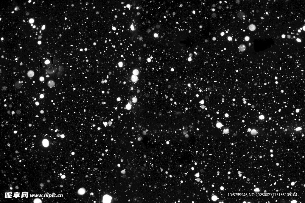 雪花碎片粉尘粒子下落图片素材 