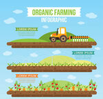 创意有机农业信息图矢量素材