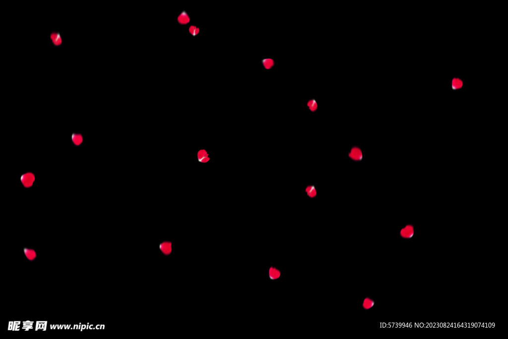 飘落花瓣鲜花漂浮元素图片 