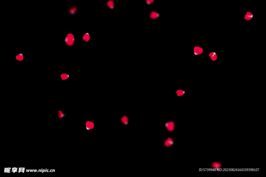 飘落花瓣鲜花漂浮元素图片 