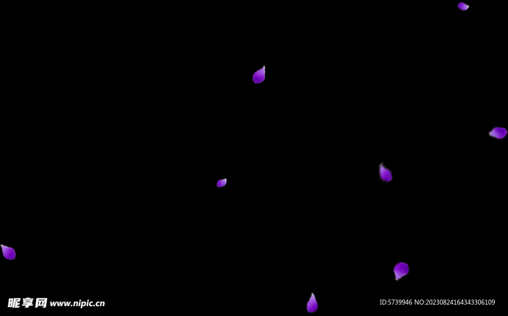 飘落花瓣鲜花漂浮元素图片 