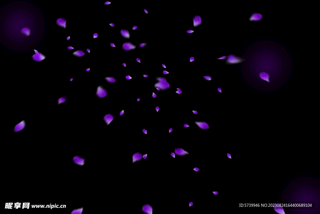 飘落花瓣鲜花漂浮元素图片 