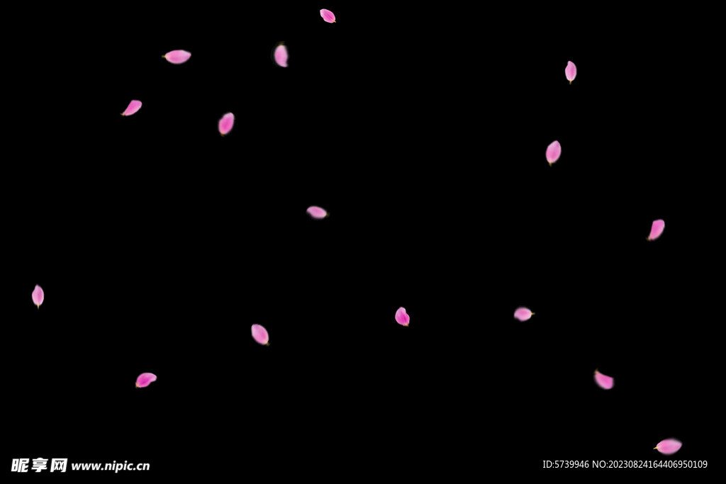 飘落花瓣鲜花漂浮元素图片 