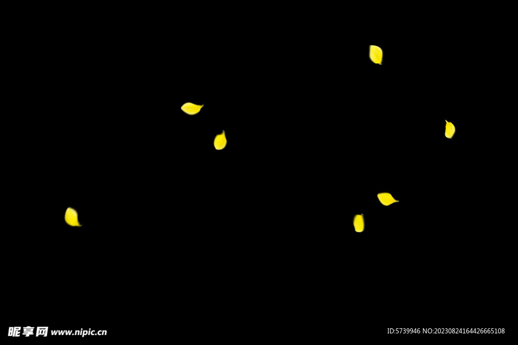 飘落花瓣鲜花漂浮元素图片 